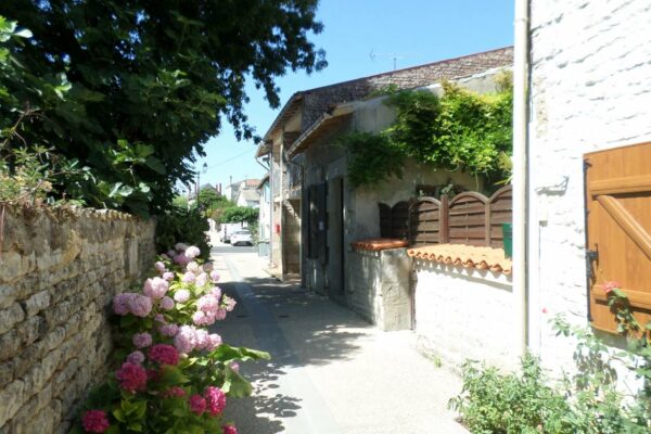 gite-lalibellule-1